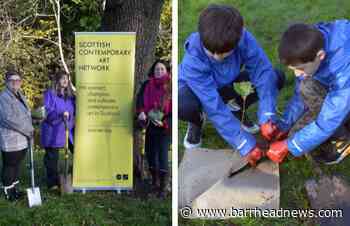 Barrhead: Carlibar pupils create Wee Wood at park - Barrhead News