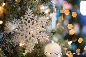 When should you take your Christmas tree down? - Barrhead News