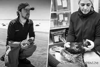 Dieren uit het Gentse helpen? Schrijf je dan in voor de cursus van natuurfotograaf Jeffrey