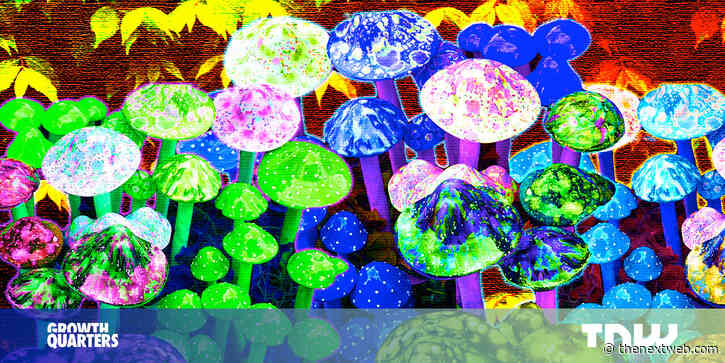 This startup sells microdosing kits to boost productivity — so I did magic truffles for a month