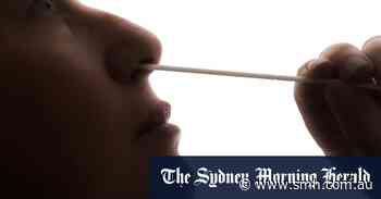 ‘Absolutely price gouging’: Australian rapid test distributor slams retail price rises - Sydney Morning Herald