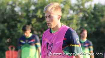 LIVE TMW - Serie C, tutte le ufficialità della settimana: Monterosi, dal Parma arriva Artistico - TUTTO mercato WEB