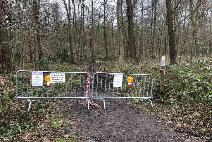 Onveilig vlonderpad in het park wordt vervangen