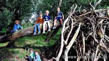 Glinde: Der Nachwuchsfels in der Barbyer Brandung - Volksstimme