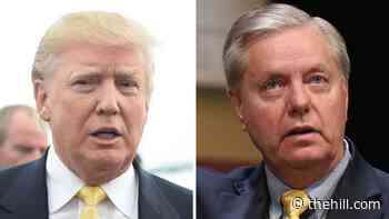Graham says he warned Trump of 'peril' with Jan. 6 press conference
