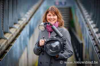 Fotografe Petra Van Borm specialiseert zich in zwangerschapsfoto’s onder water: “Het is uniek in België”