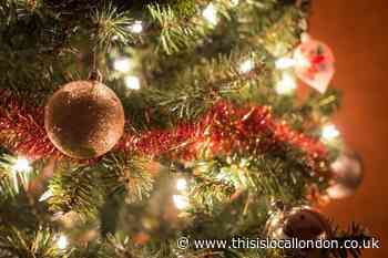 Brent Council urges people to correctly dispose of Christmas trees