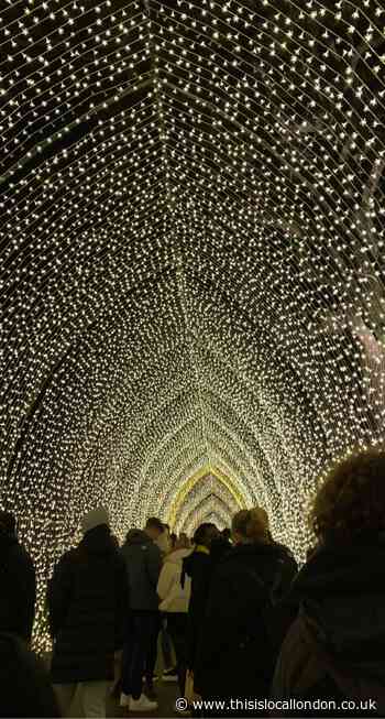 Kew the Lights! - Annie Martin St Catherine's School