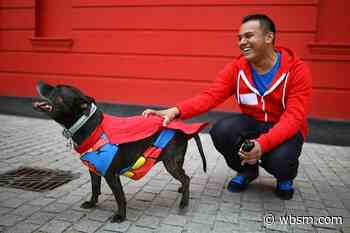 Fall River's Top 10 Most Popular Dog Breeds - wbsm.com