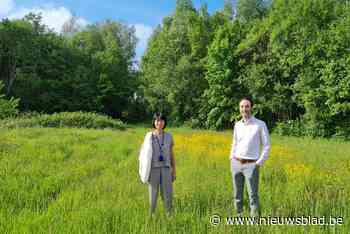 Zeventig voetbalvelden extra groene ruimte in de rand: nieuw park in Vilvoorde, extra bos in Zaventem en nog veel meer - nieuwsblad.be