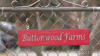 Jersey singer Carie McCay uses her voice to raise money for her community