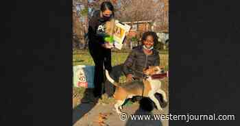 Dog With 'Sixth Sense' Saves Neighbor's Life After Literally Racing to Help
