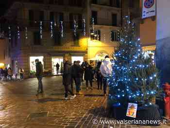 A Clusone Natale con gli abeti, Contrade e Commercianti mantengono la tradizione - Valseriana News - Valseriana News