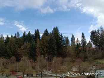 CLUSONE - Arriva un mega Hotel con Spa, Solarium, piscina interna ed esterna e suite in Collina Verde: “Al lavoro per portare il mercato solo nel centro storico” - Araberara - Araberara