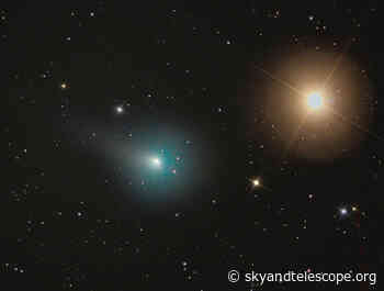 Comet-seeking on Cold, Crunchy Nights