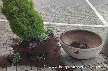 Vandalismus entlang der Nibelungenstraße in Reichenbach - Lautertal - Nachrichten und Informationen - Bergsträßer Anzeiger