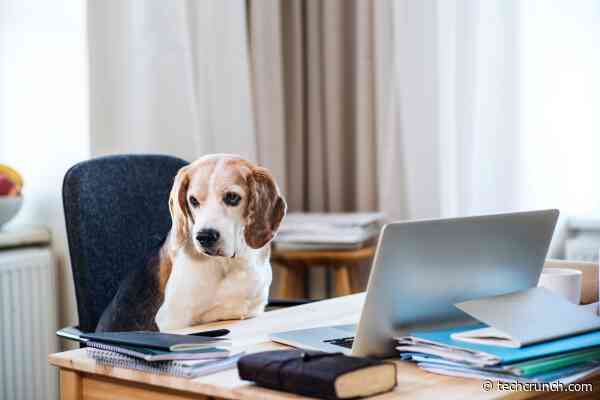 New pet tech at CES treats dogs and cats like the complex beings they are