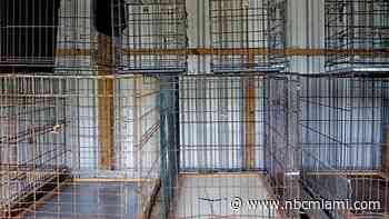 Homestead Woman Locks Son in Dog Cage After Child Was Being ‘Aggressive': Police