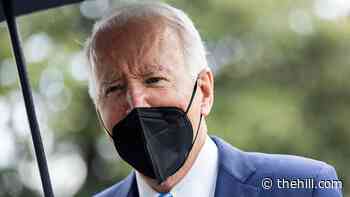 Briefing in brief: Biden will say more on voting rights after Jan. 6