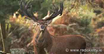 Review recommends dedicated manager for Killarney National Park - Radio Kerry