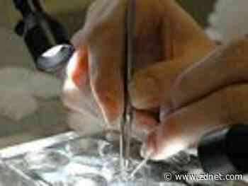 What is bioinformatics, and why does it matter?