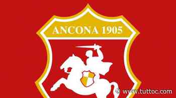 Ancona Matelica, emerse ulteriori positività: seduta odierna annullata - Tutto Lega Pro