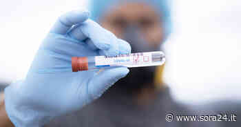 Sora: «Variante Omicron, quarantene e vaccini pediatrici». Interessante convegno in programma - Sora24