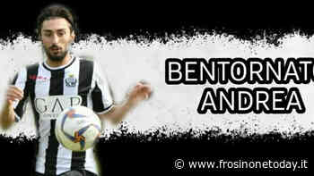 Sora Calcio 1907, comunicato il ritorno del difensore Andrea Iannuzzi - FrosinoneToday