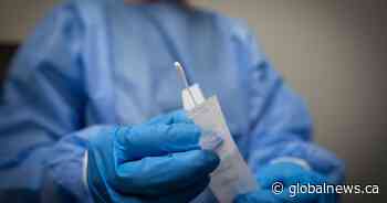 COVID-19: 537 new cases and no reported deaths in Saskatchewan