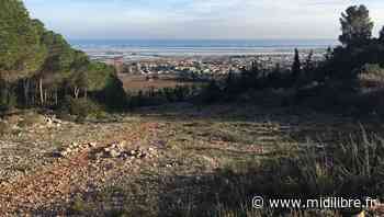 Recensement : 23 028 habitants sur la commune de Frontignan - Midi Libre