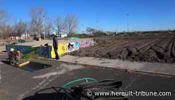 Frontignan : le skatepark est fermé pour travaux - Hérault-Tribune