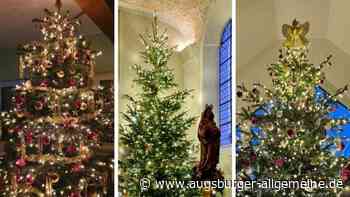 Virtuelles Christbaumloben: Das sind die drei Gewinner-Bäume - Augsburger Allgemeine