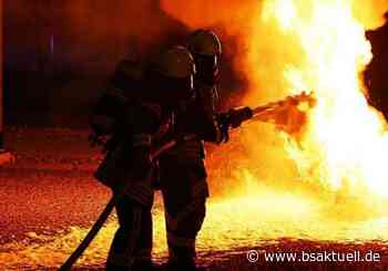 Ulm: Unbekannte setzten mehrere Container in Brand - BSAktuell
