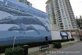 BC Liberal MLA Halford's White Rock office broken into, 'trashed' – Chilliwack Progress - Chilliwack Progress