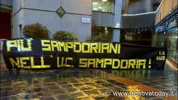 Lanna presidente, gli Ultras Tito: "Più sampdoriani nella Samp" - GenovaToday