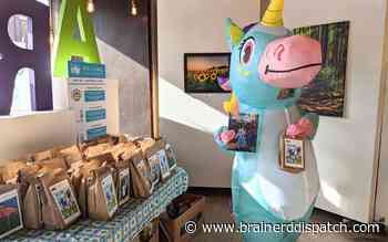 Crossing Arts Alliance to distribute creativity kits - Brainerd Dispatch