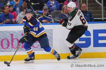 What To Make Of Scott Perunovich’s Time In The NHL - Bleedin' Blue