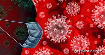 US Army testing universal coronavirus vaccine against all variants - New Atlas