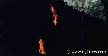 ‘Expedition Content’ Review: Anthropological Maneuvers in the Dark