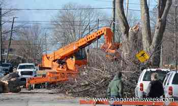 Power gradually returns to Port Colborne after wind storm - niagarathisweek.com