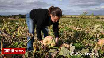 Farmers could be paid for post-Brexit land changes