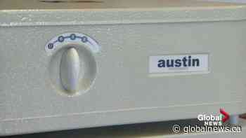 COVID-19: Some Edmonton schools taking steps to address air quality in classrooms