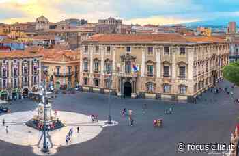 Catania, entro il 10 gennaio le domande per l'assunzione di 130 persone - FocuSicilia