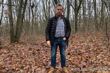 Druivengemeente krijgt vijf hectare bos cadeau… van kuststad: “Zeventig jaar geleden zagen de West-Vlamingen het gebied hier vermoedelijk als een investering”