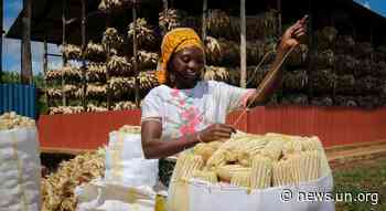 WFP-backed challenge boosts food system in Rwanda and beyond - UN News