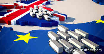 Border controls 'threaten food imports' - Fruitnet