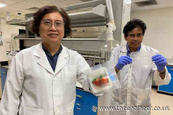 'Smart' food packaging keeps fruit fresh | The Engineer The Engineer - The Engineer