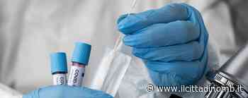 Monza: sono tre le farmacie comunali che fanno i tamponi (e un terzo dei test è positivo) - Il Cittadino di Monza e Brianza