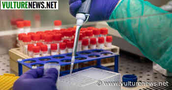 Coronavirus Basilicata, 530 nuovi positivi residenti: 53 a Lavello, 27 a Melfi e 20 a Venosa! Ecco i dati comune per comune - vulturenews.net