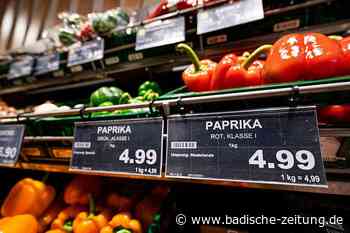 Eine irakische Mutter und ihr Sohn müssen sogar beim Essen sparen - Kreis Lörrach - Badische Zeitung